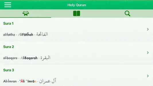 Quran in Azerbaijani, Arabic screenshot 5