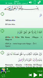 Quran Audio: Bosnian, Arabic screenshot 2