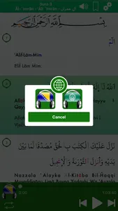 Quran Audio: Bosnian, Arabic screenshot 3