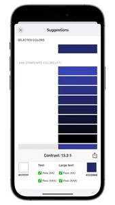 Accessibility Checker - AI EAA screenshot 6