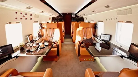 Business Jet Escape screenshot 0