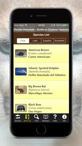 Florida Mammals screenshot 1