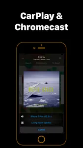 Flacbox: Hi-Res Music Player screenshot 5