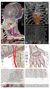 3D Organon Anatomy - Heart, Arteries, and Veins screenshot 0