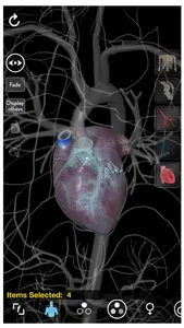 3D Organon Anatomy - Heart, Arteries, and Veins screenshot 2