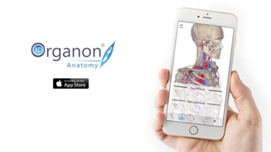 3D Organon Anatomy - Heart, Arteries, and Veins screenshot 3