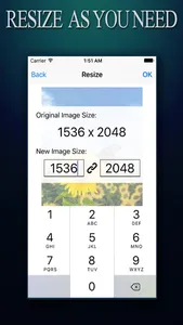 Image Resizer ADVANCED - Photo Resize Editor To Reshape pictures and Photos screenshot 2