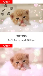 Glitter Photo Editor Lite screenshot 1