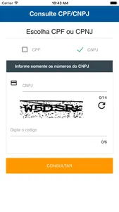Consulte CPF e CNPJ screenshot 2
