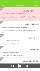 Quran in Urdu -Listen and read screenshot 3