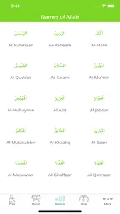 Quran in Urdu -Listen and read screenshot 6