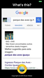 What is This? Photo Search screenshot 0