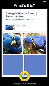 What is This? Photo Search screenshot 1