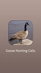 Goose Hunting Calls! screenshot 0