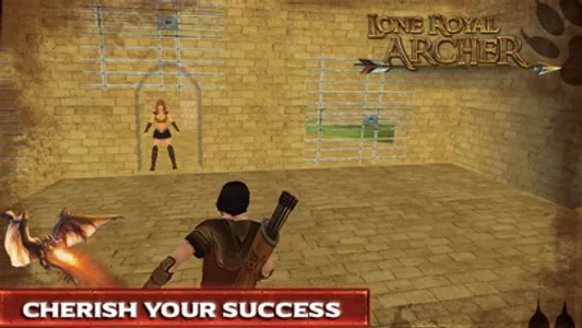 Lone Royal Archer : Free the kidnapped Princess screenshot 3