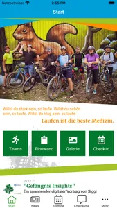 Laufteam Fürth 2010 screenshot 1