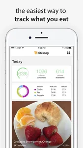 Bitesnap: Photo Food Journal screenshot 0