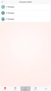 Minha Gestacao screenshot 3