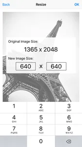 Image Resizer Pro - image crop screenshot 1