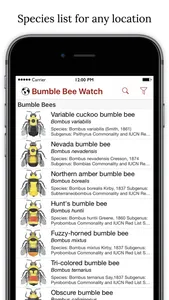 Bumble Bee Watch screenshot 0