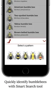 Bumble Bee Watch screenshot 2