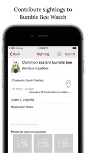 Bumble Bee Watch screenshot 3