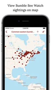 Bumble Bee Watch screenshot 4