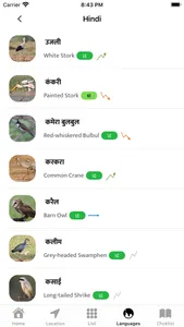 Indian Birds screenshot 4