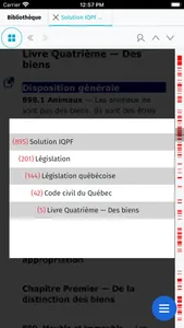 Solution IQPF screenshot 4