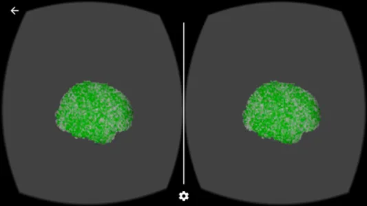 Interactive Brain Activation for fMRI Data screenshot 2