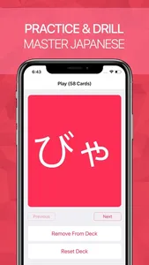 Hiragana & Katakana Flash screenshot 4