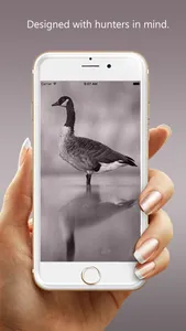 Goose Hunting Calls - Goose Sounds screenshot 0