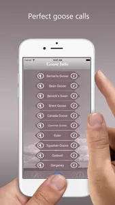 Goose Hunting Calls - Goose Sounds screenshot 2