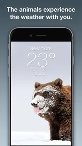 Wildlife Wallpaper Weather screenshot 1