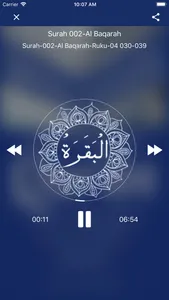 Tafheem ul Quran: Audio screenshot 3