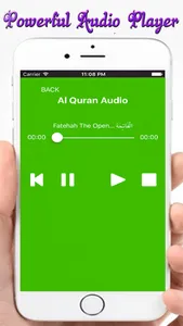 The Holy Quran Audio screenshot 2