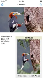 Encyclopedia of Birds screenshot 3