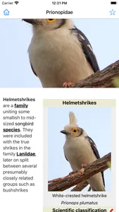 Encyclopedia of Birds screenshot 5