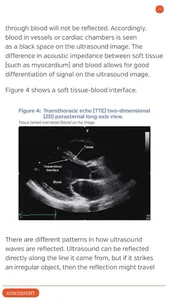 Education screenshot 2