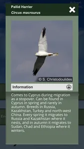 Feathered Journeys screenshot 2