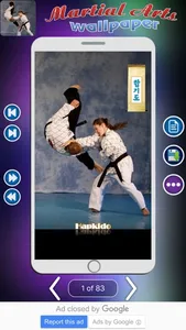 Martial Arts Wallpaper screenshot 1