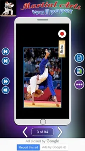 Martial Arts Wallpaper screenshot 2