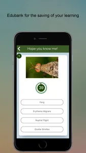 Entomology SMART Dictionary screenshot 4