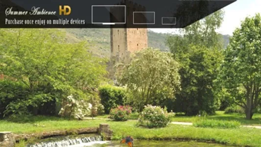 Summer Ambience HD screenshot 1