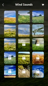 Wind sounds:Calming sounds of nature for relaxation and forest ambience for stress relief screenshot 1