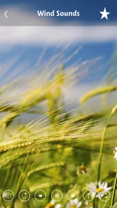 Wind sounds:Calming sounds of nature for relaxation and forest ambience for stress relief screenshot 3