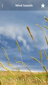 Wind sounds:Calming sounds of nature for relaxation and forest ambience for stress relief screenshot 4
