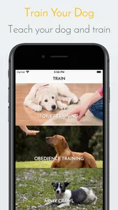 My Dog App - Care my Dog screenshot 1