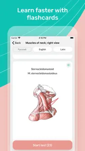 Easy Anatomy. Atlas learning screenshot 2