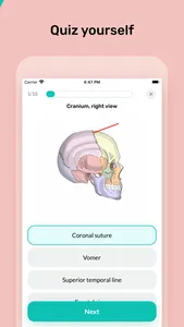 Easy Anatomy. Atlas learning screenshot 3